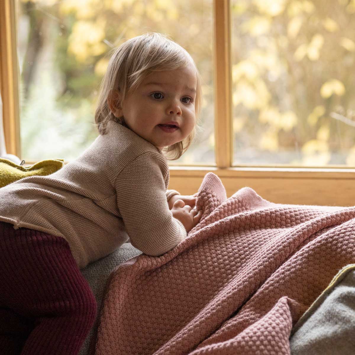 Hintergrundbild für die neue Kollektion